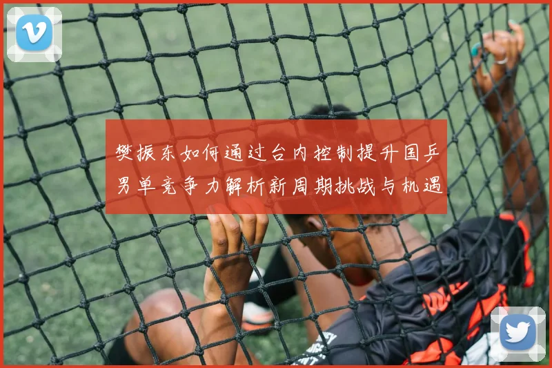 樊振东如何通过台内控制提升国乒男单竞争力解析新周期挑战与机遇