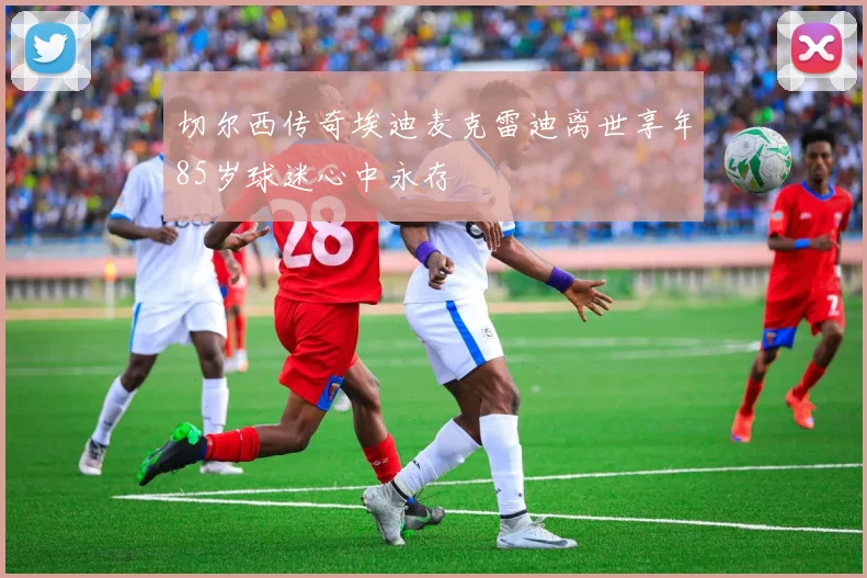 切尔西传奇埃迪麦克雷迪离世享年85岁球迷心中永存
