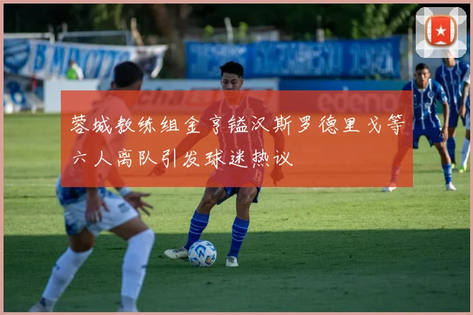蓉城教练组金亨镒汉斯罗德里戈等六人离队引发球迷热议
