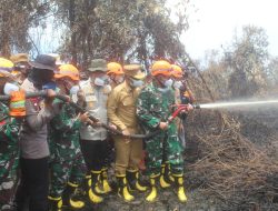 Bersama BNPB RI, Pangdam l/BB Tinjau Penanganan Karhutla di Rohil