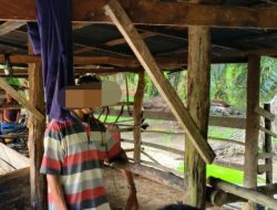 Pria Ditemukan Tewas Tergantung di Kandang Hewan Gegerkan Warga Dumai