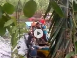 Heboh Kabar Seorang Warga Tewas Diterkam Buaya di Bangsal Aceh Saat Cari Rumput